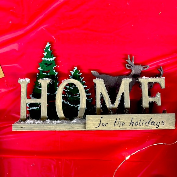 Home for the holidays - Picture 1 of 1